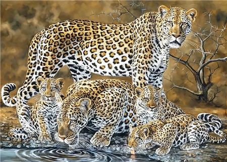 Алмазная мозаика картина стразами Леопарды, 30х40 см :: Подарки и хобби