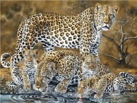 Алмазная мозаика картина стразами Леопарды на водопое, 50х65 см