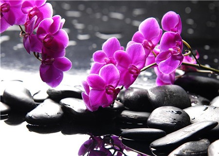 Алмазная мозаика картина стразами Сиреневая орхидея, 30х40 см :: Подарки и хобби