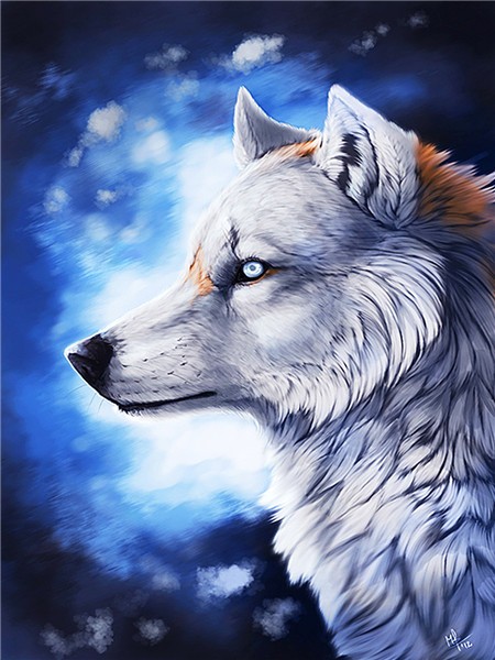 Алмазная мозаика картина стразами Белый волк, 30х40 см :: Подарки и хобби