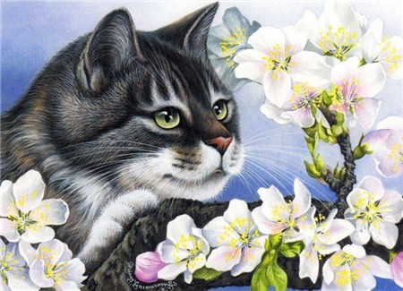 Алмазная мозаика картина стразами Кот с белыми цветами, 40х50 см :: Подарки и хобби