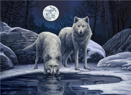 Алмазная мозаика картина стразами Два белых волка, 50х65 см :: Подарки и хобби