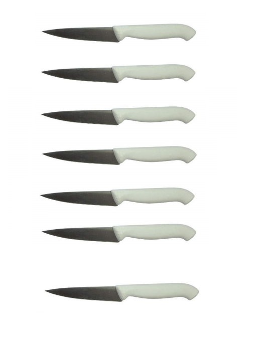 Набор фруктовых ножей, 12 шт :: Товары для дома