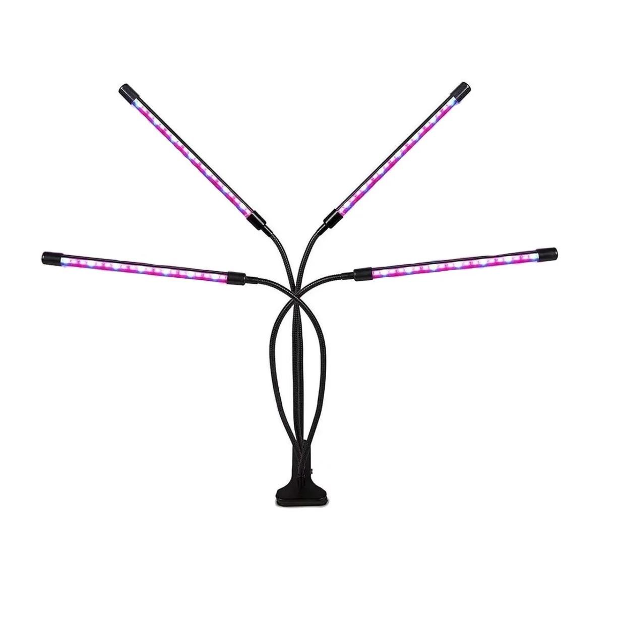 00117786-1 00117786-1