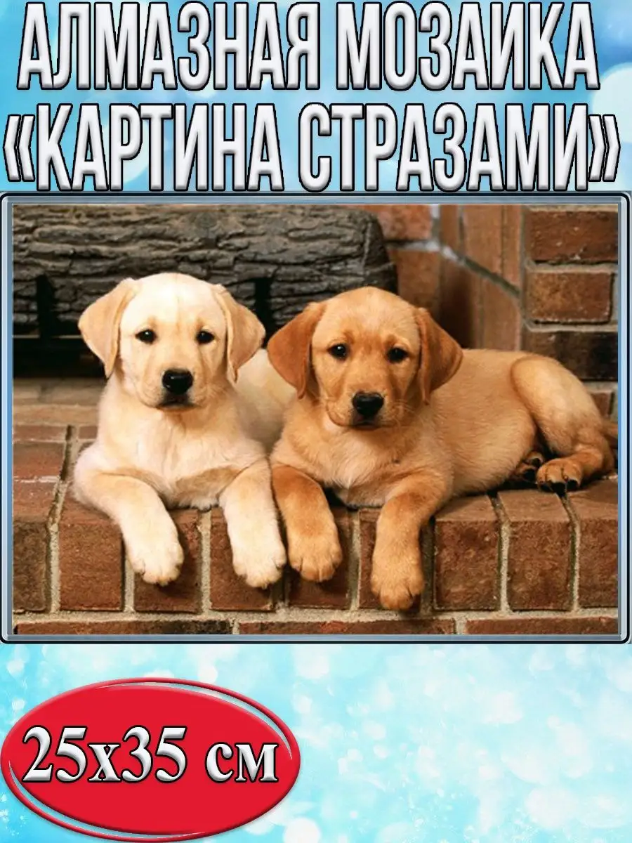 Алмазная мозаика картина стразами Два лабрадора, 30х40 см