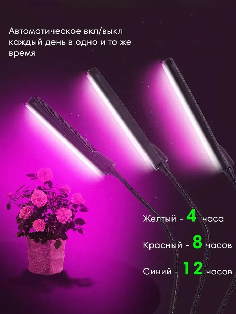 00117787-4