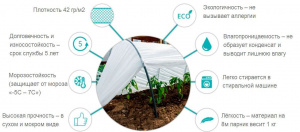 parnik_podsnejnik_dostoinstva