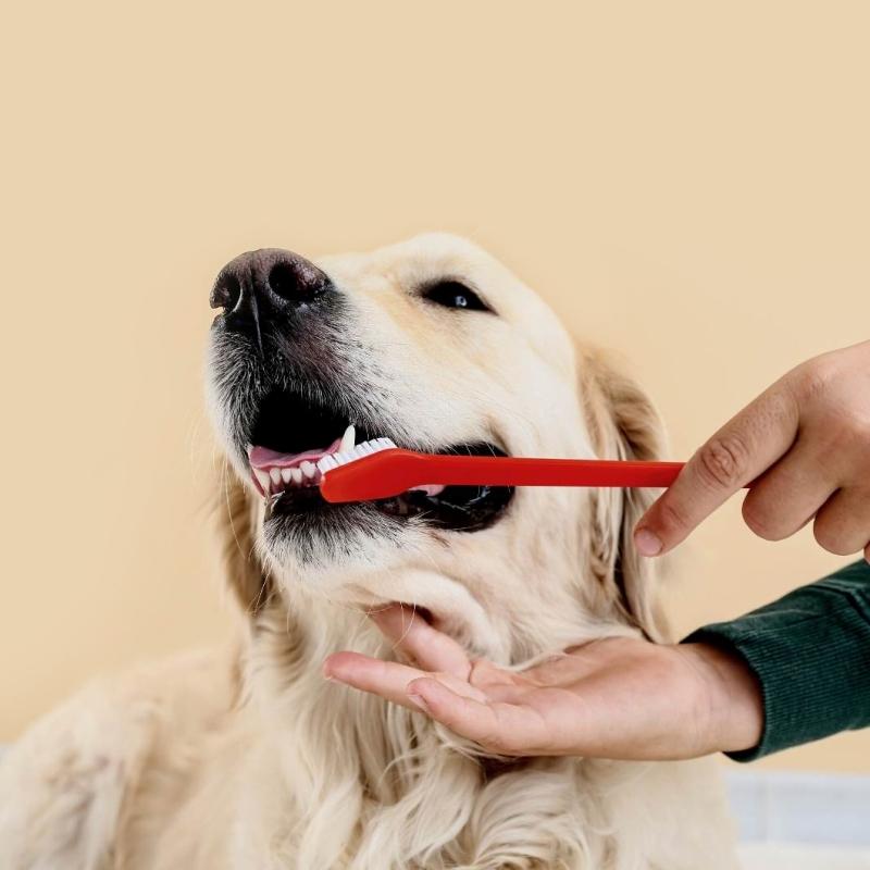 набор_двусторонних_зубных_щеток_для_собак_и_кошек_htbrush_htb032_8_шт