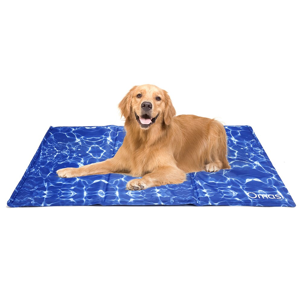 H7038325178e9457a8dc64e460b7cf786y