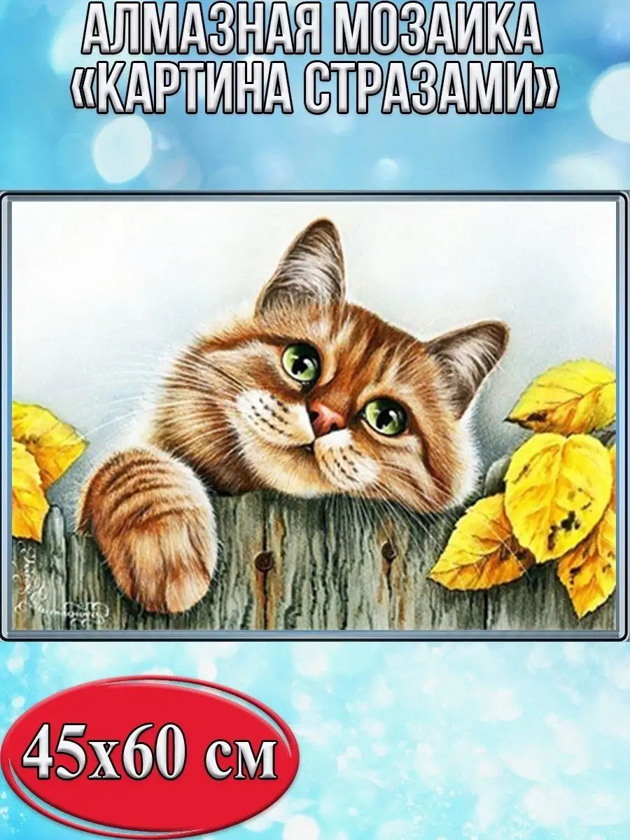 Алмазная мозаика картина стразами Котик, 50х65 см