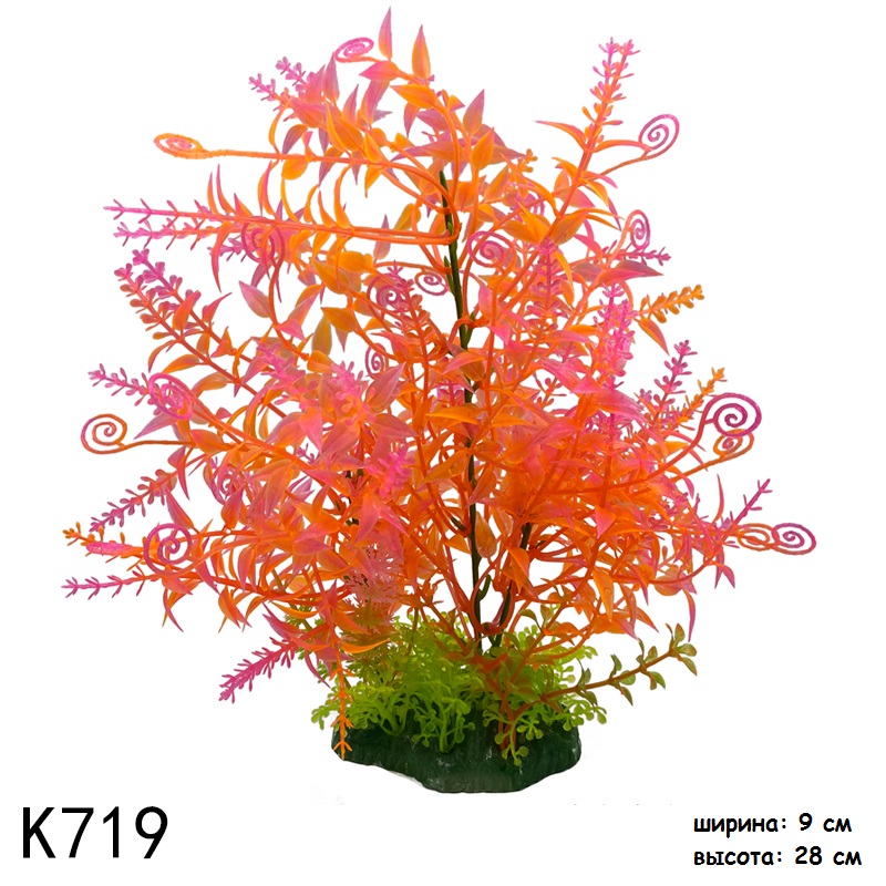 K719
