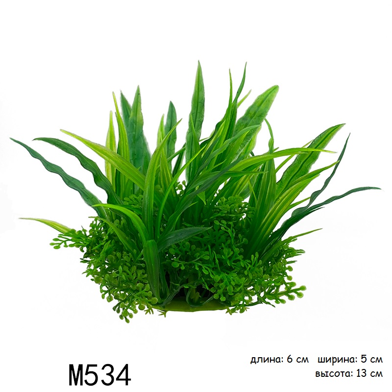 M534