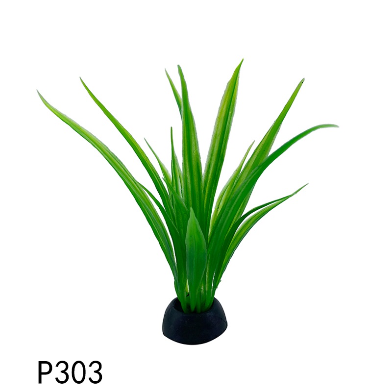 p303