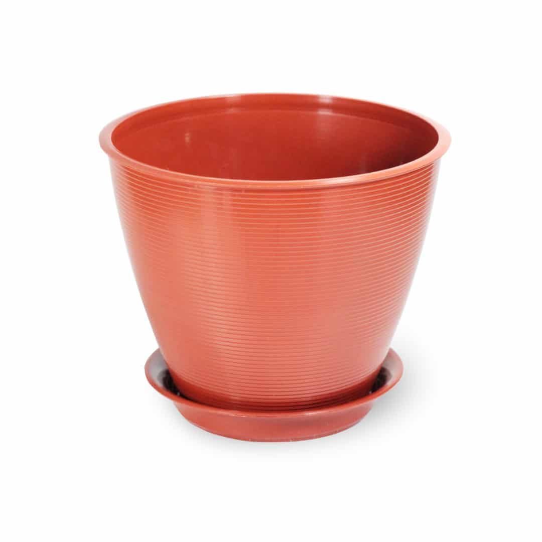 Мальта-терра