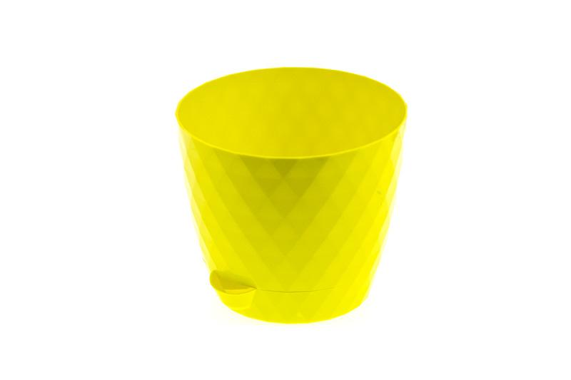 rumba_limone1 rumba_limone1