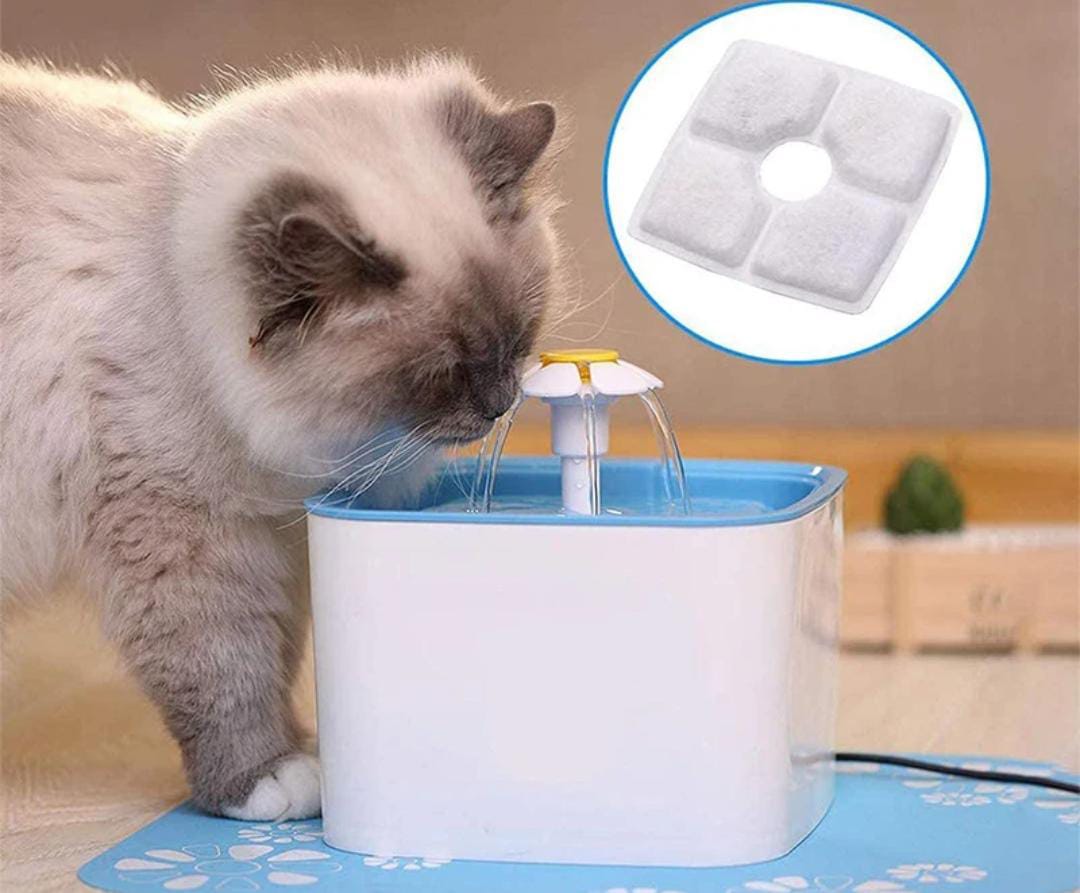 8d970c6e-42d6-420a-9fd8-148548d5b999