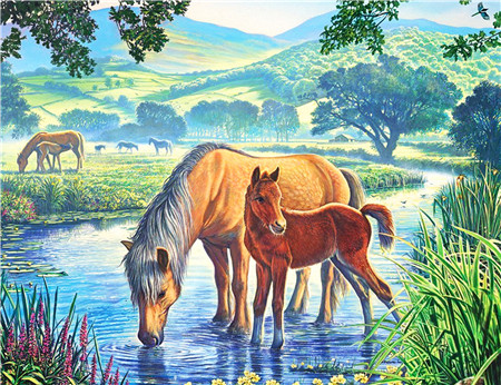 Алмазная мозаика картина стразами Лошади у реки, 50х65 см Алмазная мозаика картина стразами Лошади у реки, 50х65 см