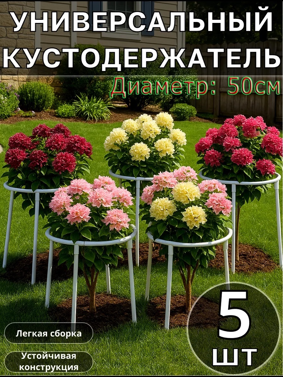 Кустодержатель