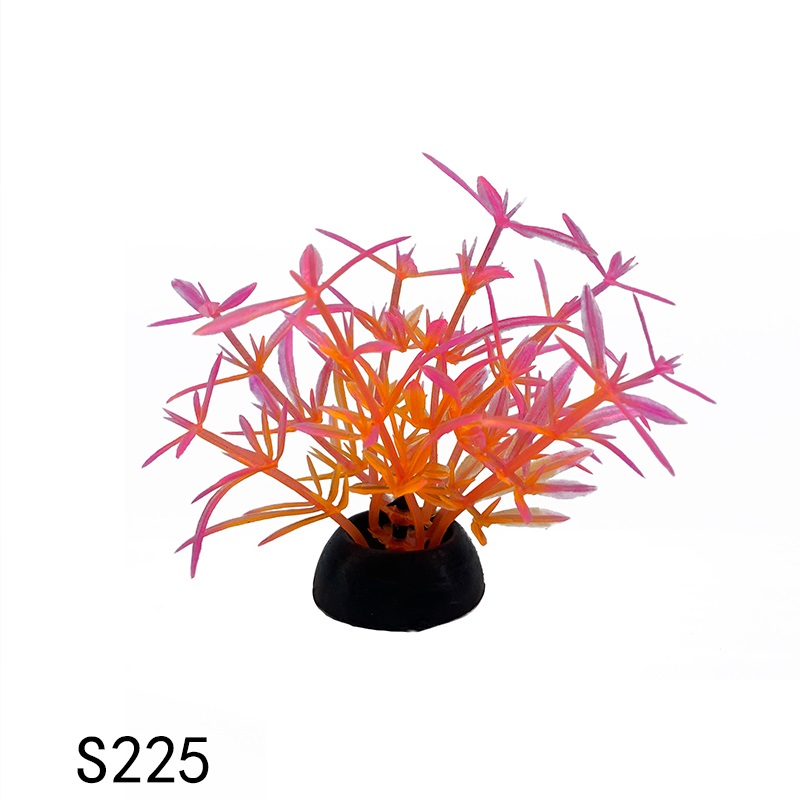 s225