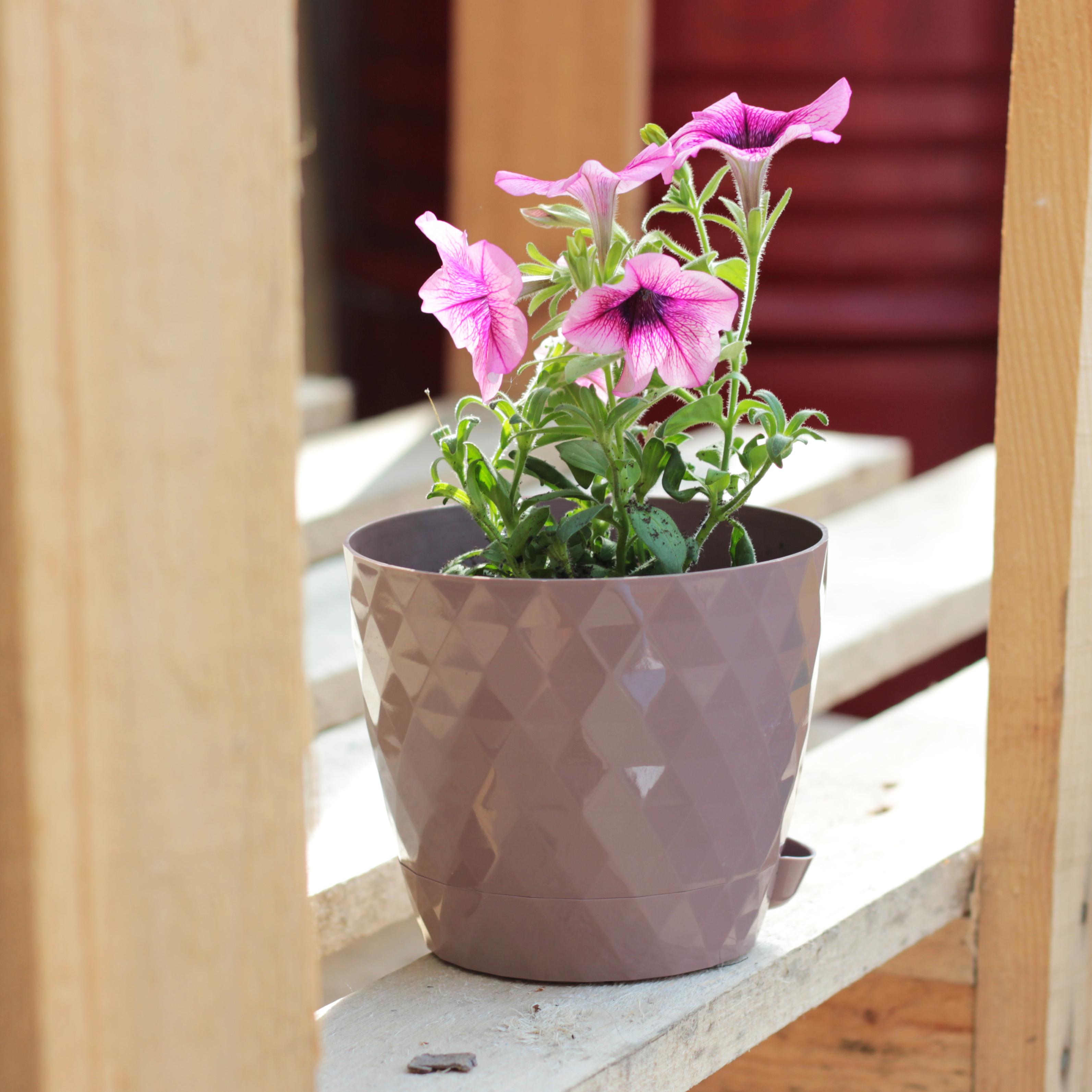 Румба-мокко-1