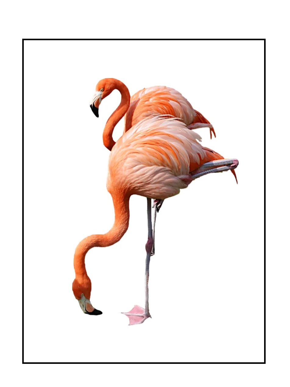 117107