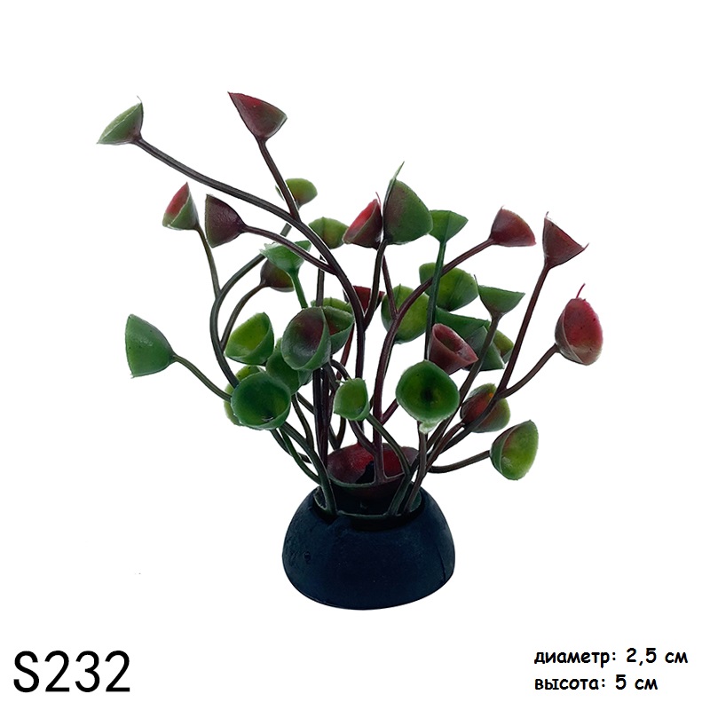 s232