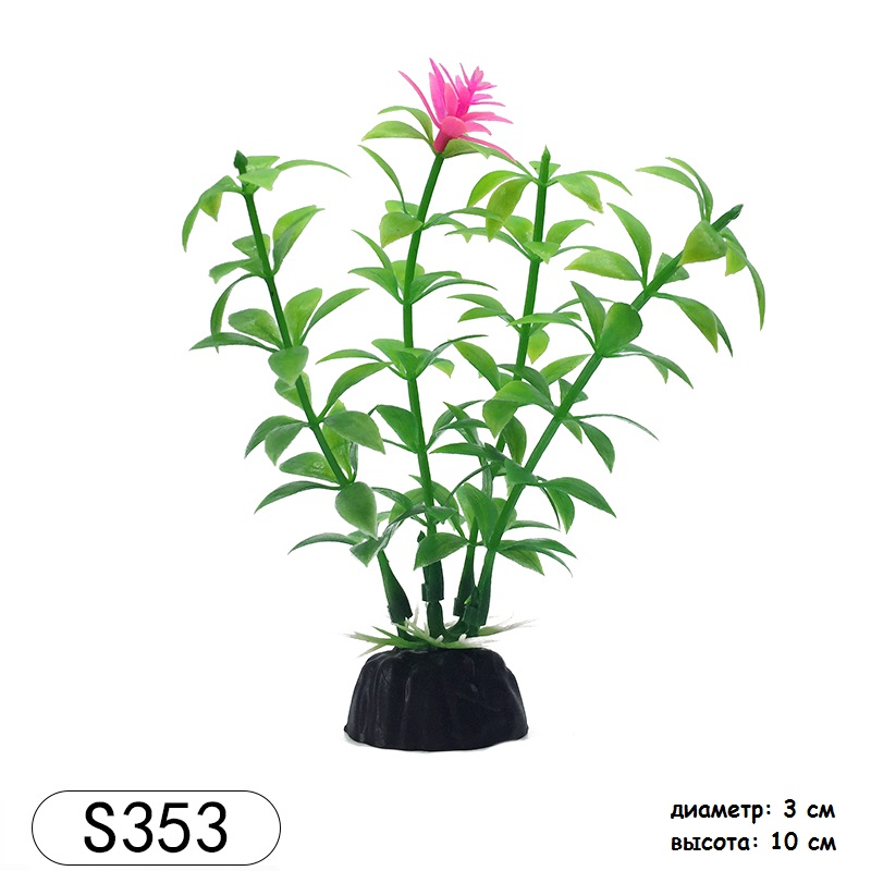 S353