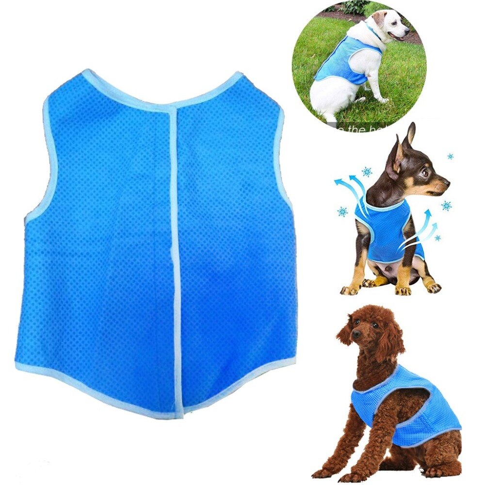 HTB1qlgicfWG3KVjSZFPq6xaiXXao