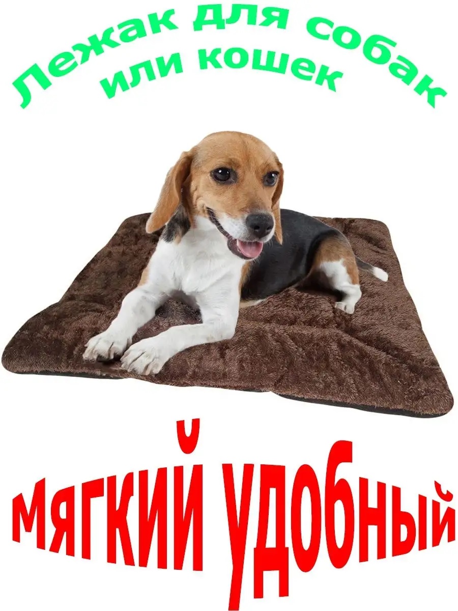 Безымянный