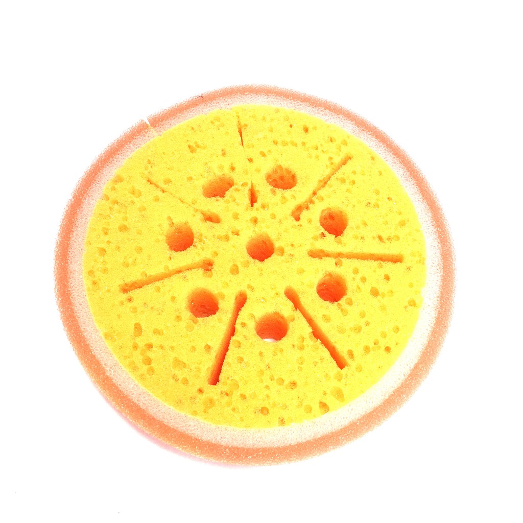 158561