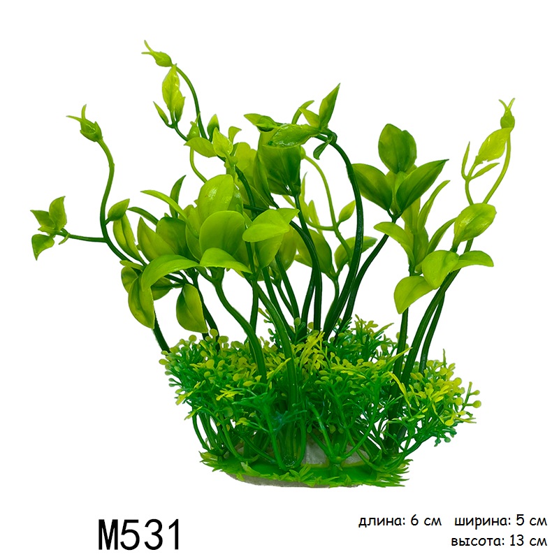 M531