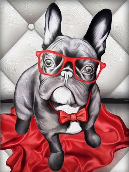 Алмазная мозаика картина стразами Бульдог в очках, 40х50 см