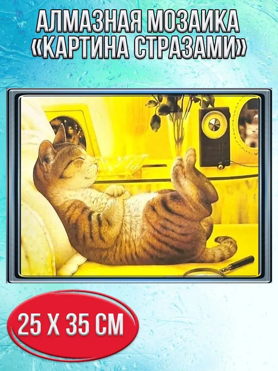 Алмазная мозаика картина стразами Спящий котик, 30х40 см