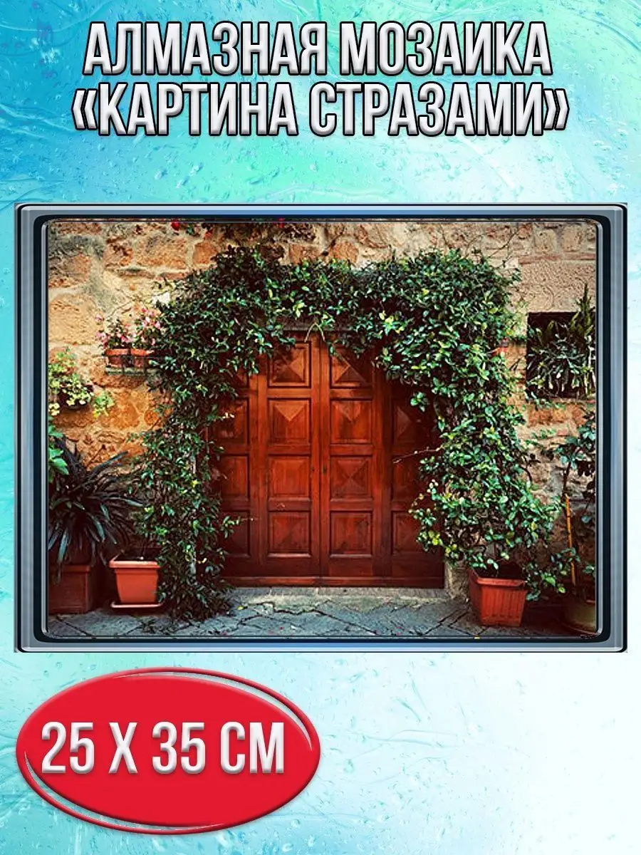 Алмазная мозаика картина стразами Винтажная дверь с плющом, 30х40 см