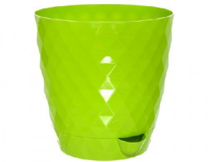 rumba_qiwi rumba_qiwi