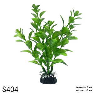 S404