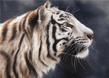 Алмазная мозаика картина стразами Тигр, 30х40 см Алмазная мозаика картина стразами Тигр, 30х40 см