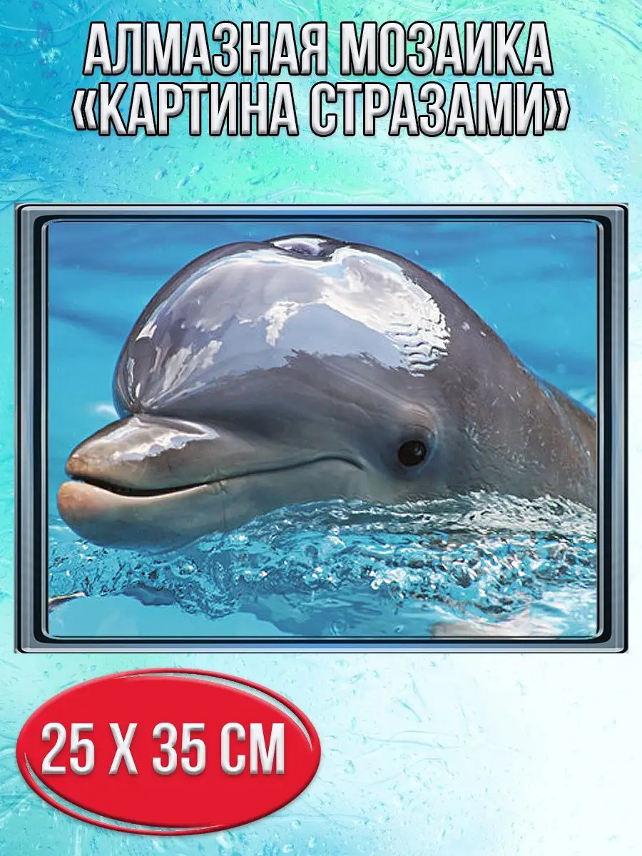 Алмазная мозаика картина стразами Дельфин, 30х40 см