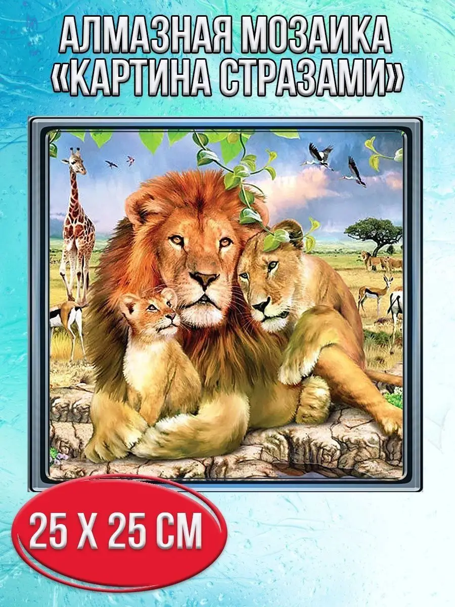Алмазная мозаика картина стразами Львиный прайд, 30х30 см