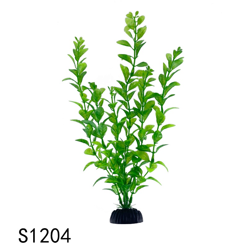 S1204