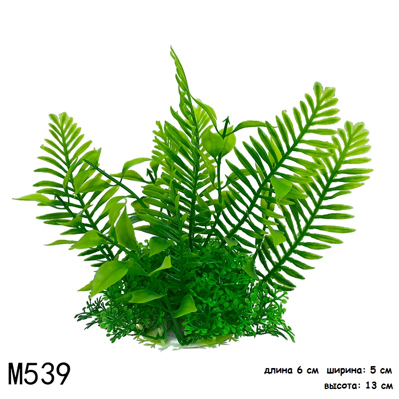 M539