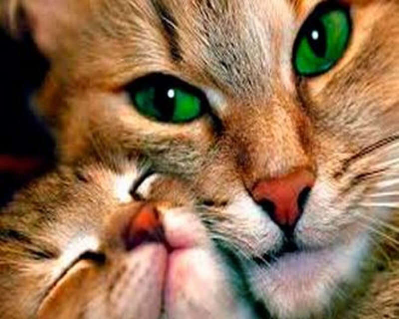 6015456979 6015456979