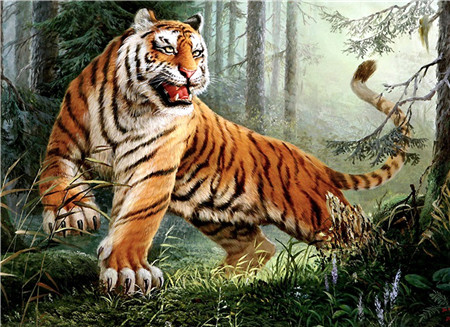 Алмазная мозаика картина стразами Тигр, 50х65 см