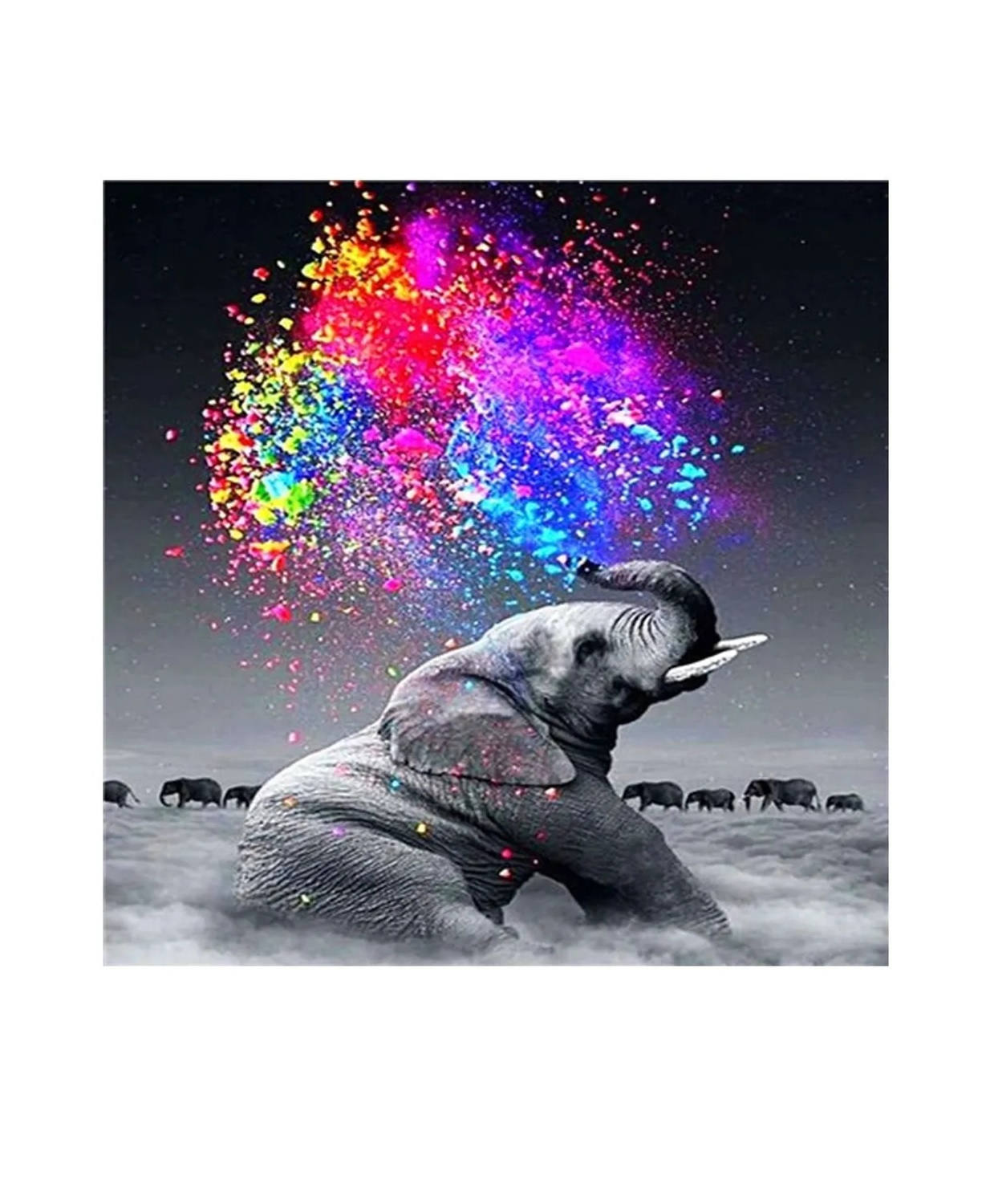 113960 113960