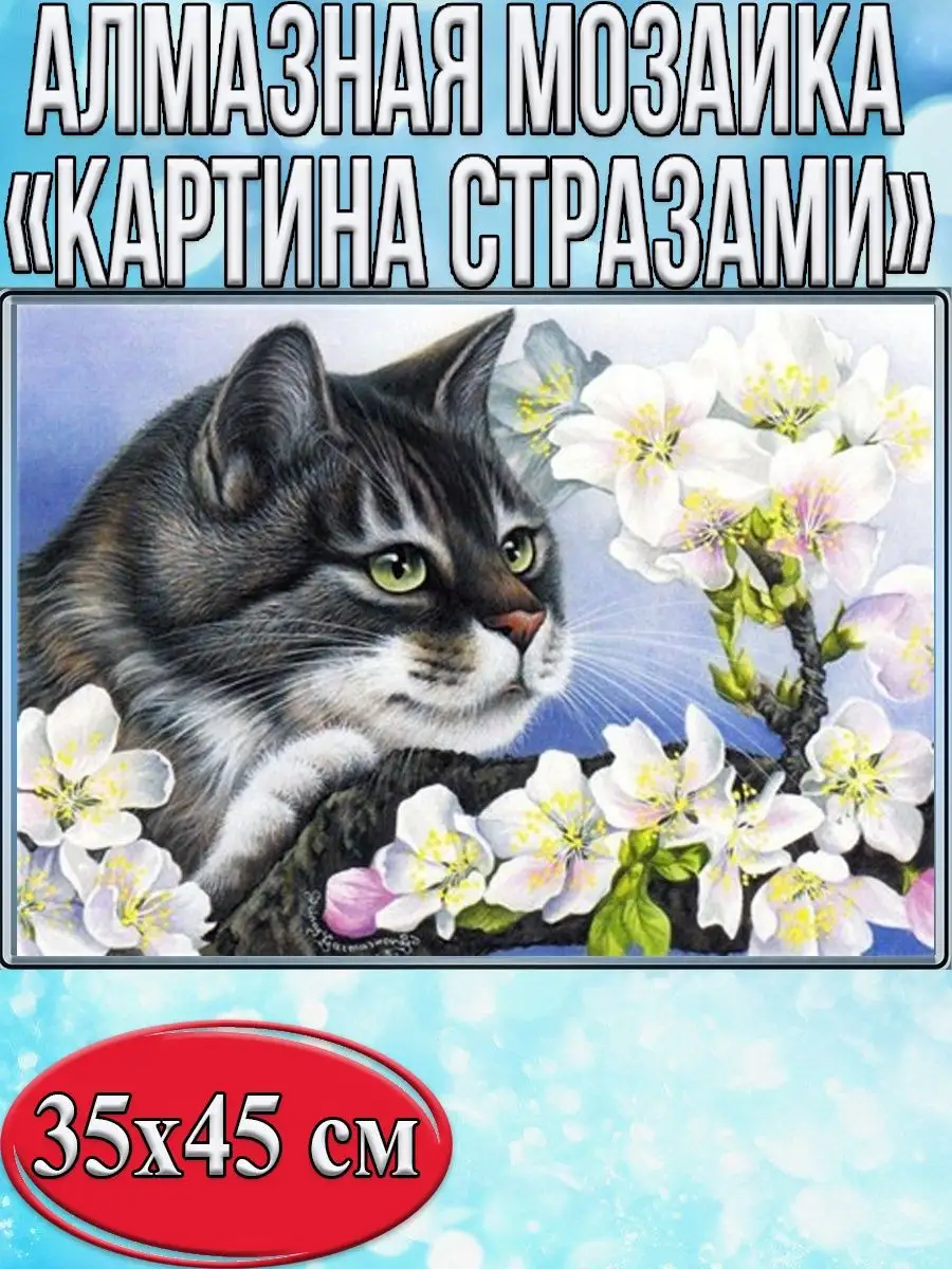 Алмазная мозаика картина стразами Кот с белыми цветами, 40х50 см