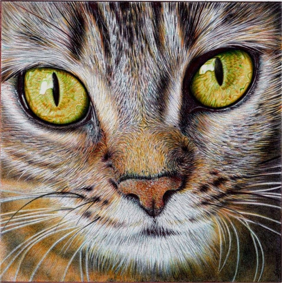 Алмазная мозаика картина стразами Кошка, 30х40 см