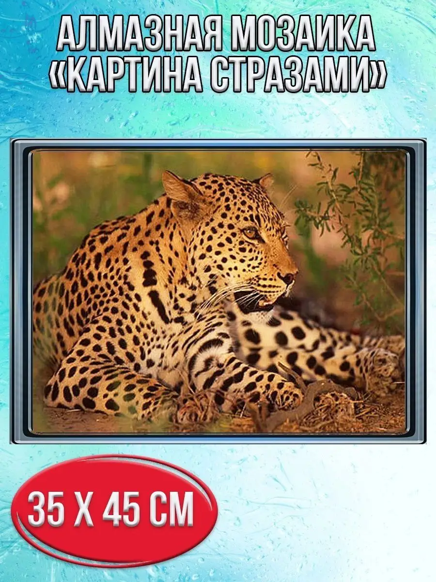 Алмазная мозаика картина стразами Леопард, 40х50 см