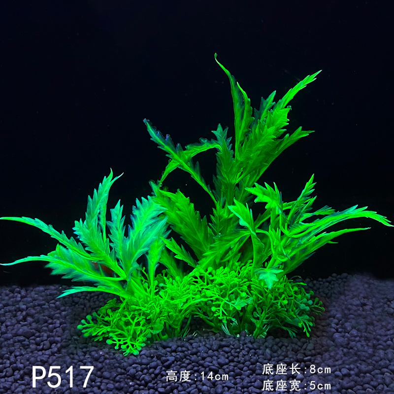 P517