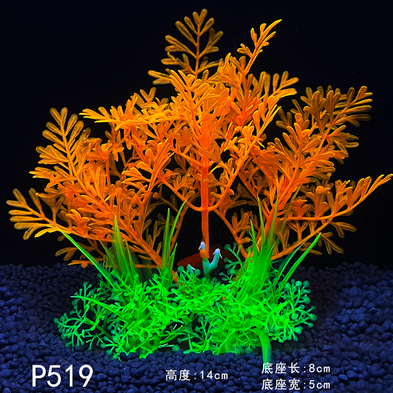 P519