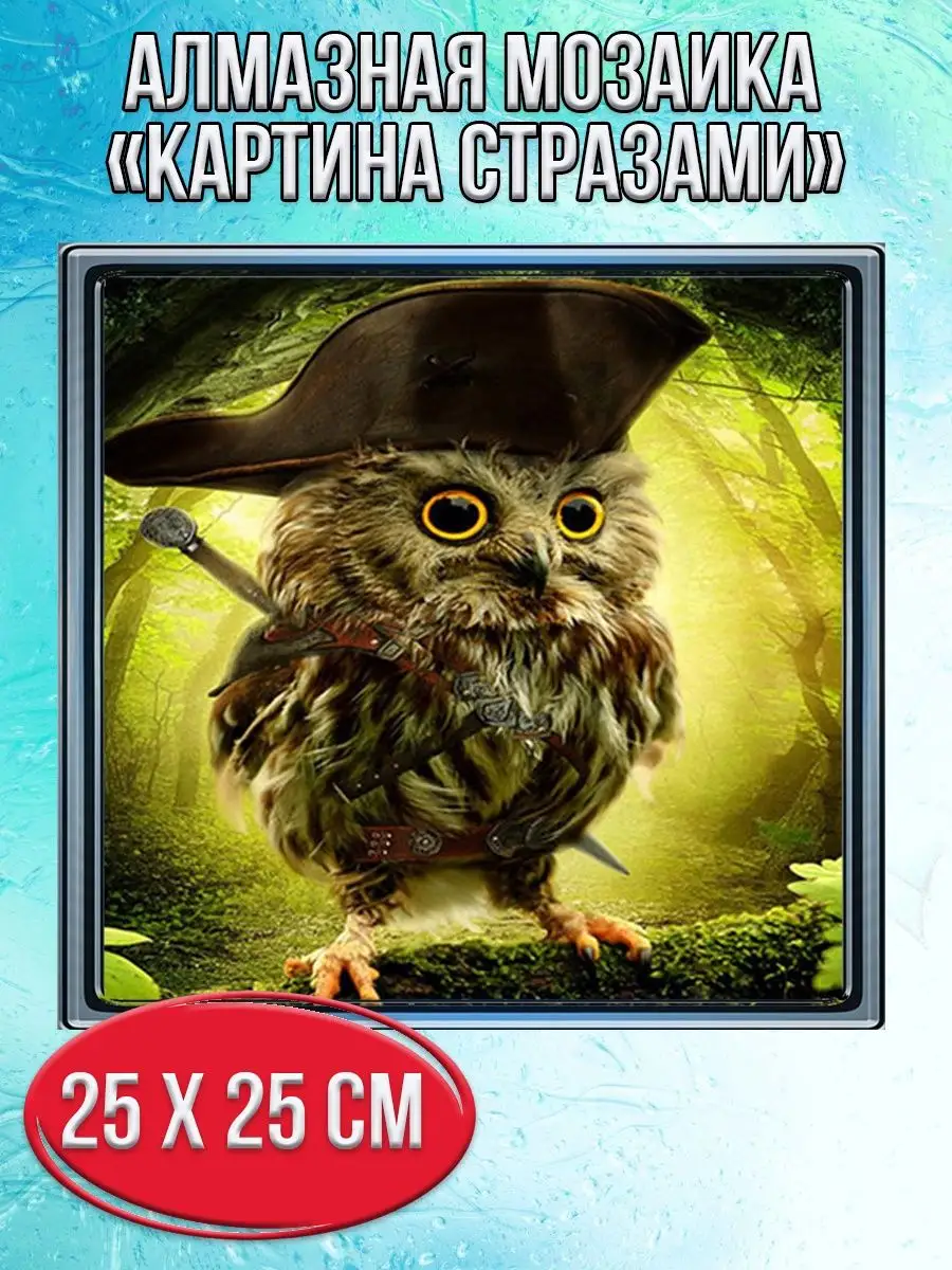 Алмазная мозаика картина стразами Сова в треуголке, 30х30 см